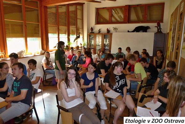 Etologie v ZOO 01