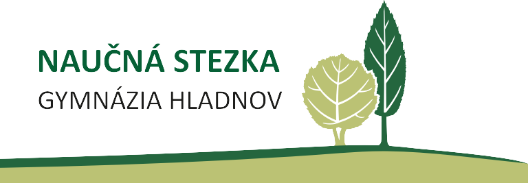 logo - stezka