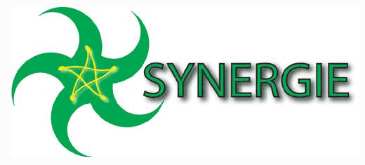 synergie