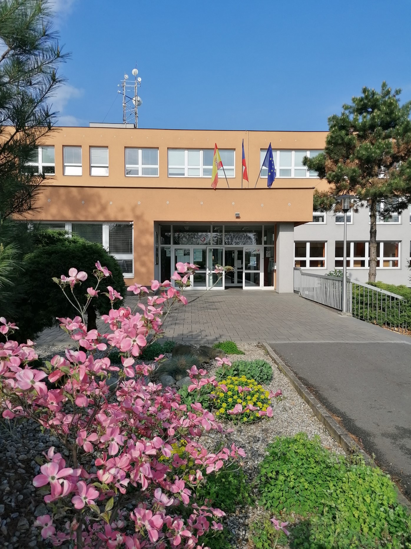 škola